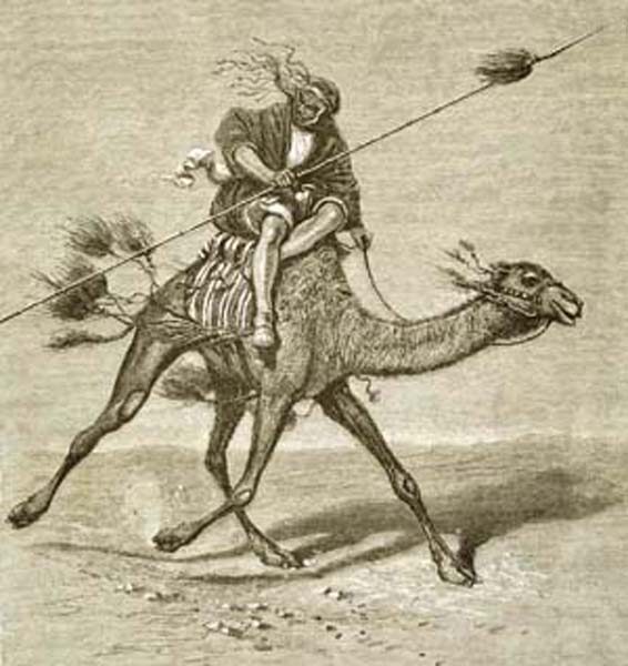 منقوشات القرن التاسع عشر 24