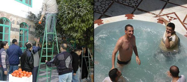 اللعب وقطف الثمار